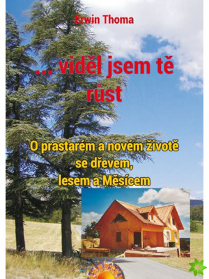 ...viděl jsem tě růst