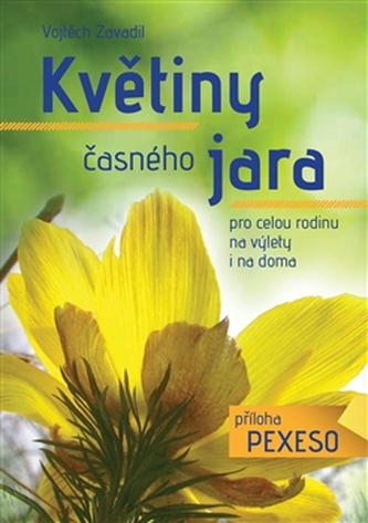 Květiny časného jara