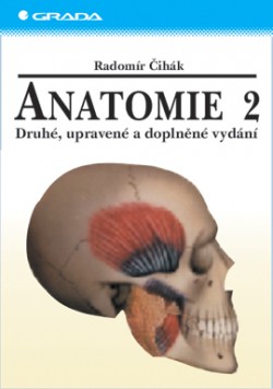 Anatomie 2.